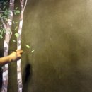 스타모텔2 이미지