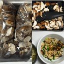 송화 농장 | 더힐링팜농장 송화버섯으로 맛있는 솥밥 송화버섯볶음