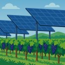 미숙 태양광발전소 이미지