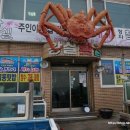 왕실횟집