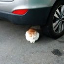 통영수월상회