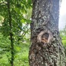 우리마을좋은사람들 이미지