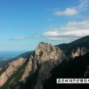 지성국제행정사