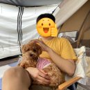 후레쉬마트(신곡점) | 반려견 동반캠핑 :: 남양주 햇살가득애견캠핑장 2박3일 후기 및 장단점 정리