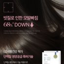 비어로맨스 | 엘라스틴 퍼퓸드리추얼 이브닝 로맨스 샴푸 후기 | 산후탈모 133일차ㅠ, 72시간 향 지속 탈모완화 효과!!