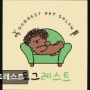 도그레스트 이미지