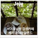 세러데이아일랜드 | 제주서귀포 작은유럽 세러데이아일랜드 감성카페추천