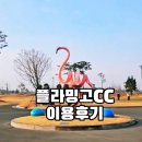 플라밍고C.C | 플라밍고CC 이용 후기 (feat.드넓은 페어웨이에서 여유로운 플레이가 가능한 cc추천)