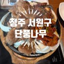 청주 현지인 추천 석갈비 맛집 , 단풍나무 후기