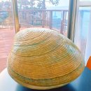 영광군 산림공원과 앞 | 영광 백수해안도로 노을전시관 스카이워크 숨은 비경 제비동굴 여행 후기