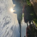 석포전망대 공중화장실 | 경주 보문단지 걷기 좋은 길 보문호반길 일몰 산책 후기 (ft. 주차 팁)