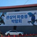 호림농장 | 2026 관상어 파충류 박람회 아이와 관람 후기 - SETEC 주차, 각종 체험 정보