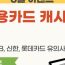 현대 카테크 이미지