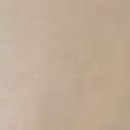 명지본튼튼의원 이미지