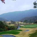 코스카cc 이미지