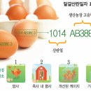 판다마케팅 - 연수구 송도과학로 32 | 판다마케팅