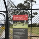 웨스턴헤이(주) 이미지