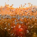 너는꽃