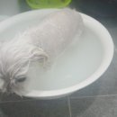 아로마타임