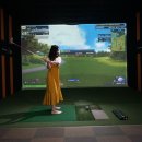 미샤스크린골프 이미지