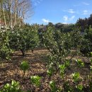 소남농장 이미지