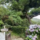 꿈이있는마을 | 전주 한옥마을 숙소 꿈꾸는 날개 전주 한옥독채 후기