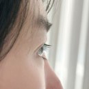 엘로이(Elroi) | 금천구 시흥사거리 속눈썹펌 눈썹 전문점 엘로이뷰티