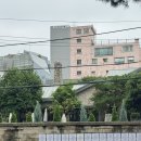 에드콘 | 장충동 브런치 맛집 콘에드뻬뻬 웨이팅·주차 후기 ⭐ 추천