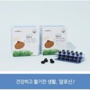 유니베라신 네이버블로그