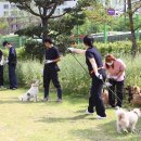 고양시 동물보호센터 이미지