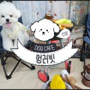 멍러빗 네이버블로그