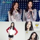 101 스포츠조선