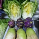 석수농장 이미지