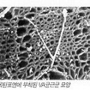 참숯이야기 이미지