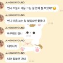 네일브랜디
