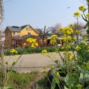 안면도 풀하우스 펜션 이미지