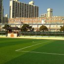 양진초등학교 이미지