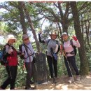 금광산성 이미지