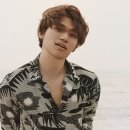 대성컴퍼니 이미지