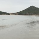 첫구지해수욕장 Daum카페