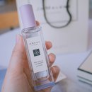 향수 조말론런던(Jo Malone London) 봄 신상, 라벤더랜드 컬렉션 + 시향후기, 위스테리아 앤 라벤더 구입