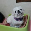 오니 - 관악구 낙성대역길 111 | 오니