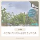 멍냥의민족안산 | 24시 안산 반려용품점 멍냥의민족 안산선부점 방문후기