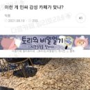 레드컵스