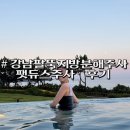 듀스 | 강남팔뚝지방분해주사 팻듀스주사 내돈내산 후기