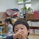 교리초병설유치원 Daum카페