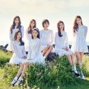 다이아 이미지