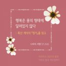 몸의형태