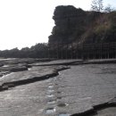 공룡타조랜드 이미지