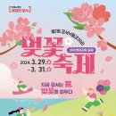 강서 낙동강30리 벚꽃축제(2025년) 네이버블로그